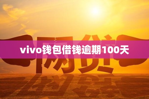 vivo钱包借钱逾期100天