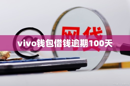 vivo钱包借钱逾期100天