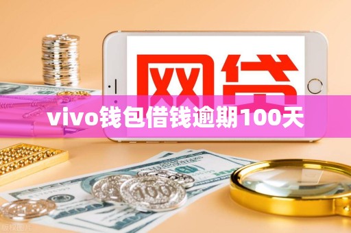 vivo钱包借钱逾期100天