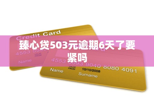 臻心贷503元逾期6天了要紧吗 臻心贷503元逾期6天了要紧吗