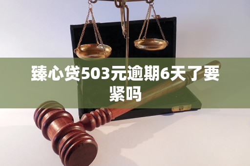 臻心贷503元逾期6天了要紧吗