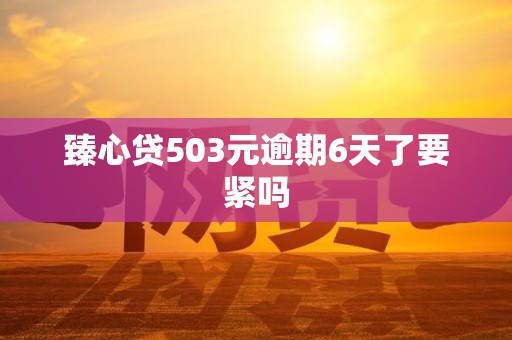 臻心贷503元逾期6天了要紧吗 臻心贷503元逾期6天了要紧吗