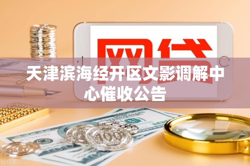 天津滨海经开区文影调解中心催收公告 天津滨海经开区文影调解中心催收公告