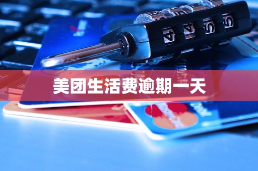 美团生活费逾期一天