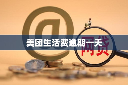 美团生活费逾期一天 美团生活费逾期一天