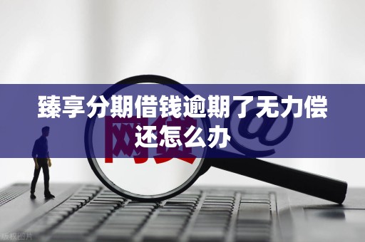 臻享分期借钱逾期了无力偿还怎么办