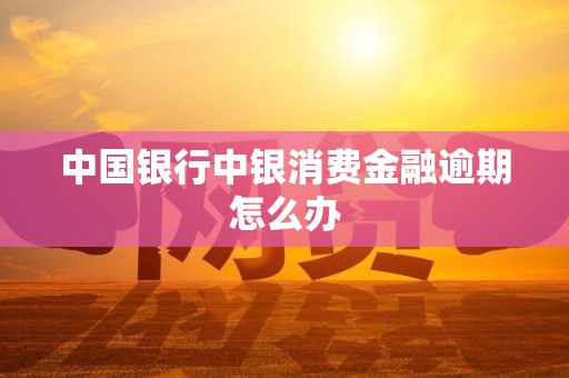 中国银行中银消费金融逾期怎么办 中国银行中银消费金融逾期怎么办