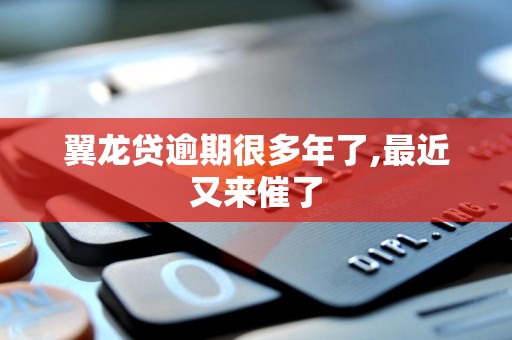 翼龙贷逾期很多年了,最近又来催了 翼龙贷逾期很多年了,最近又来催了