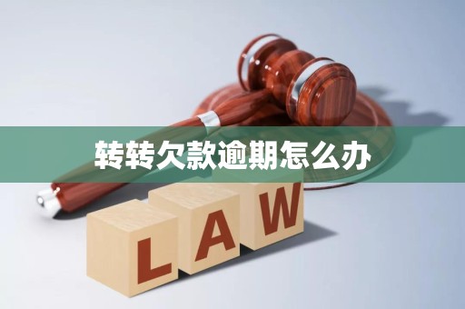 转转欠款逾期怎么办 转转欠款逾期怎么办