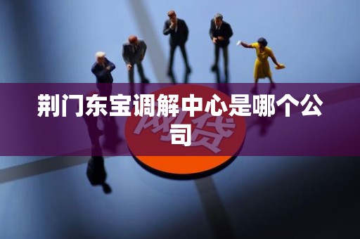 荆门东宝调解中心是哪个公司