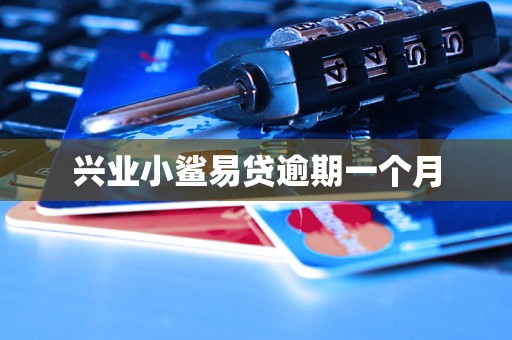 兴业小鲨易贷逾期一个月