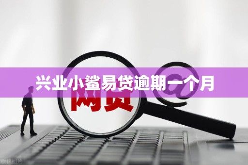 兴业小鲨易贷逾期一个月