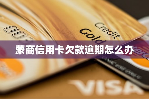 蒙商信用卡欠款逾期怎么办