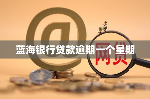 蓝海银行贷款逾期一个星期