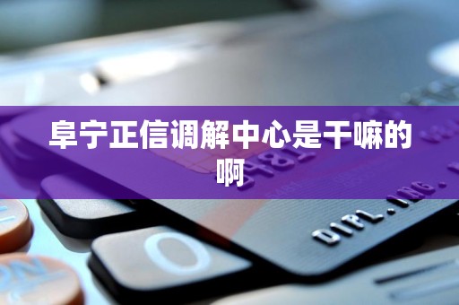 阜宁正信调解中心是干嘛的啊