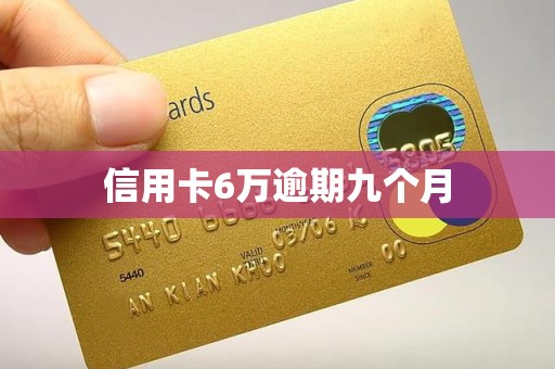 信用卡6万逾期九个月 信用卡6万逾期九个月