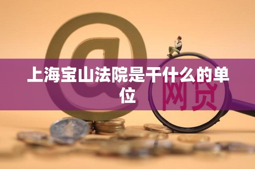 上海宝山法院是干什么的单位