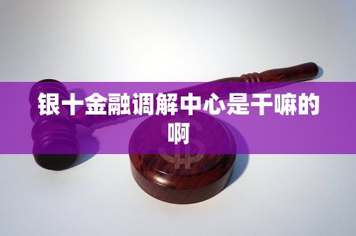 银十金融调解中心是干嘛的啊