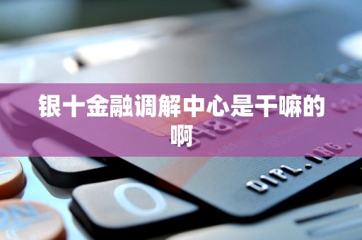 银十金融调解中心是干嘛的啊