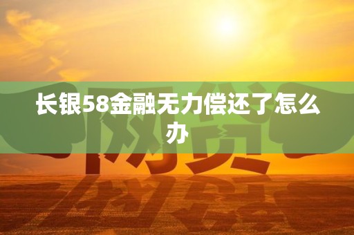 长银58金融无力偿还了怎么办 长银58金融无力偿还了怎么办
