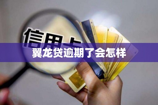 翼龙贷逾期了会怎样