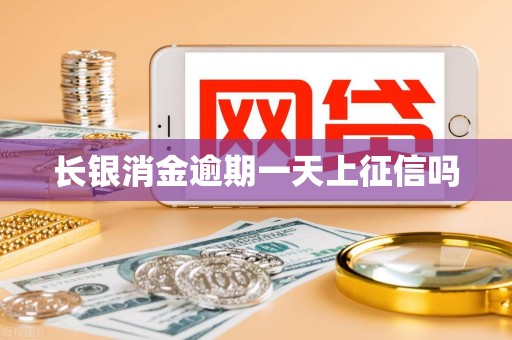 长银消金逾期一天上征信吗