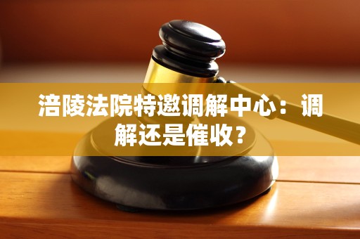 涪陵法院特邀调解中心:调解还是催收? 涪陵法院特邀调解中心:调解还是催收?