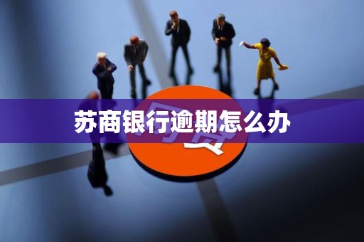 苏商银行逾期怎么办 苏商银行逾期怎么办