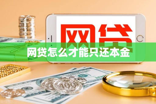 网贷怎么才能只还本金 网贷怎么才能只还本金