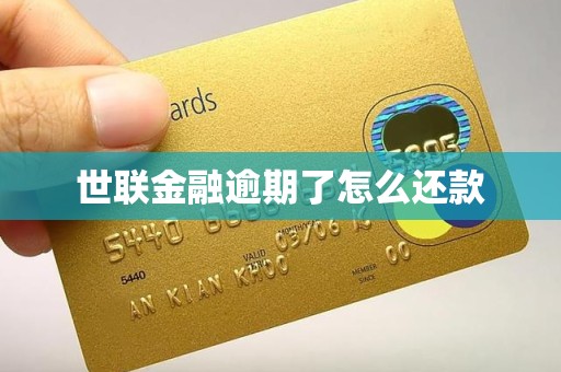 世联金融逾期了怎么还款