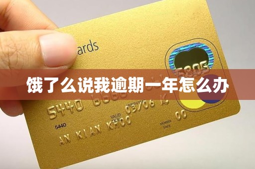 饿了么说我逾期一年怎么办 饿了么说我逾期一年怎么办