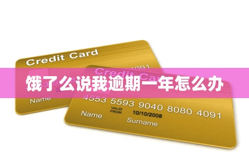 饿了么说我逾期一年怎么办 饿了么说我逾期一年怎么办