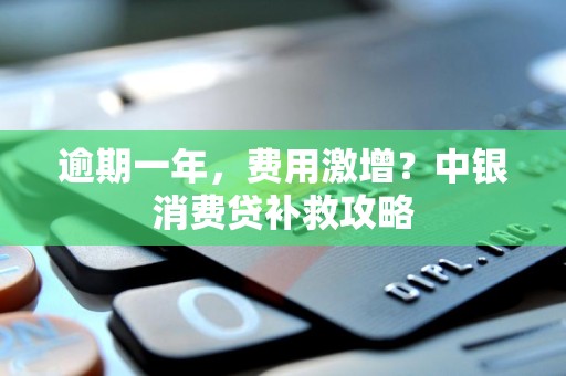 逾期一年，费用激增？中银消费贷补救攻略