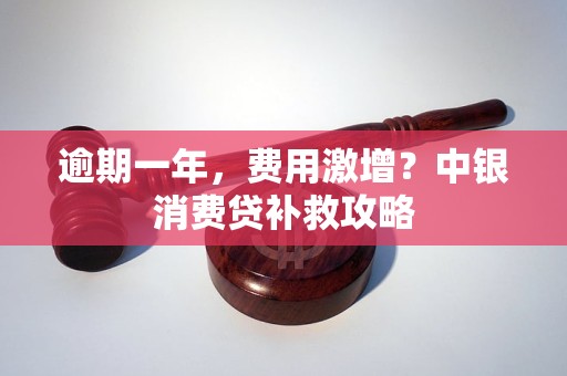 逾期一年,费用激增?中银消费贷补救攻略 逾期一年,费用激增?中银消费贷补救攻略