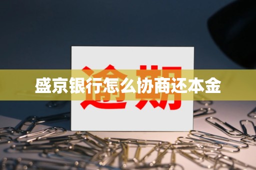 盛京银行怎么协商还本金 盛京银行怎么协商还本金