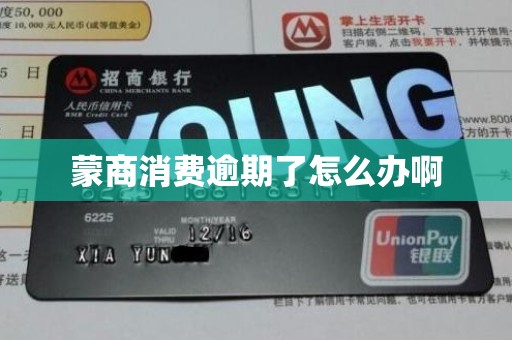 蒙商消费逾期了怎么办啊 蒙商消费逾期了怎么办啊