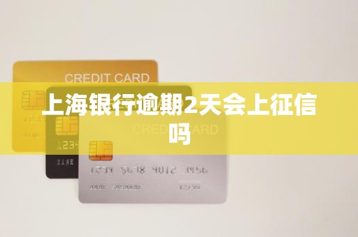 上海银行逾期2天会上征信吗