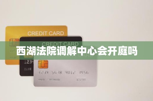 西湖法院调解中心会开庭吗 西湖法院调解中心会开庭吗