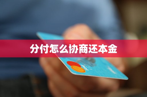 分付怎么协商还本金
