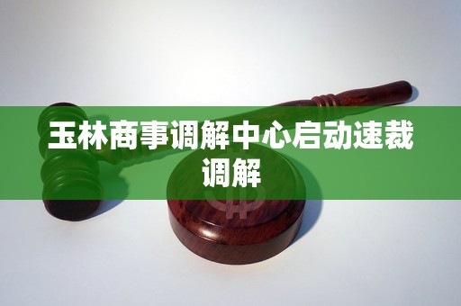 玉林商事调解中心启动速裁调解