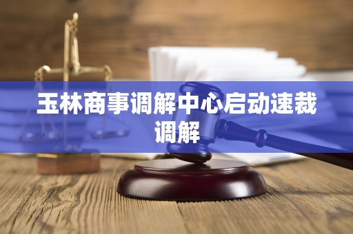 玉林商事调解中心启动速裁调解