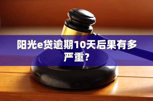 阳光e贷逾期10天后果有多严重？