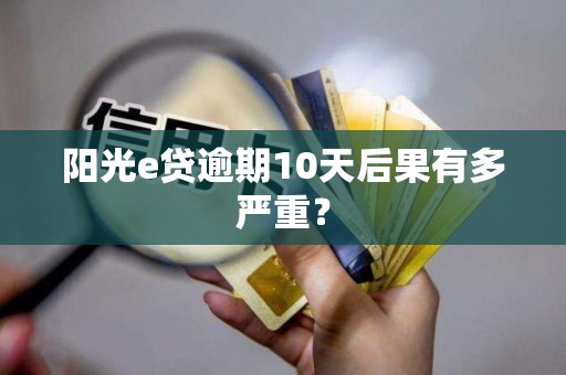 阳光e贷逾期10天后果有多严重？