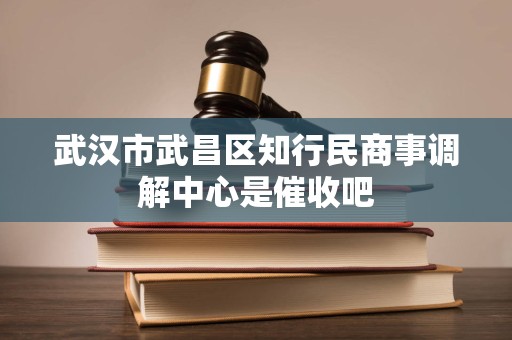 武汉市武昌区知行民商事调解中心是催收吧