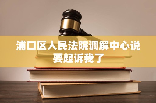浦口区人民法院调解中心说要起诉我了