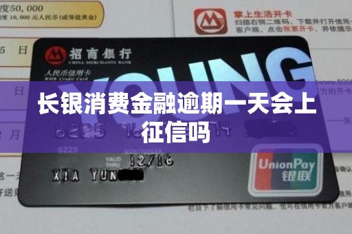 长银消费金融逾期一天会上征信吗