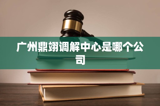 广州鼎翊调解中心是哪个公司