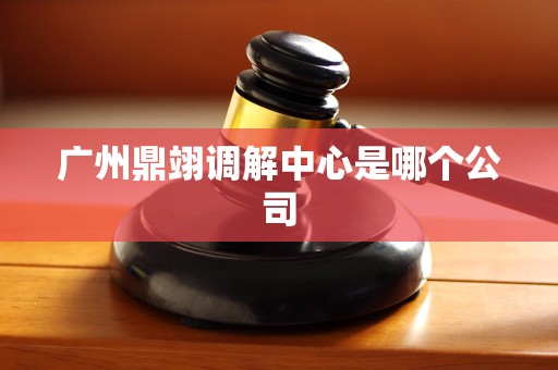 广州鼎翊调解中心是哪个公司