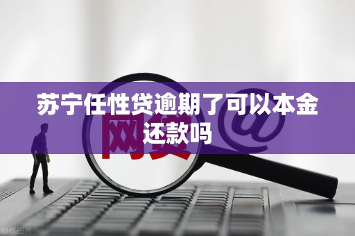 苏宁任性贷逾期了可以本金还款吗