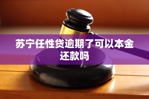 苏宁任性贷逾期了可以本金还款吗 苏宁任性贷逾期了可以本金还款吗